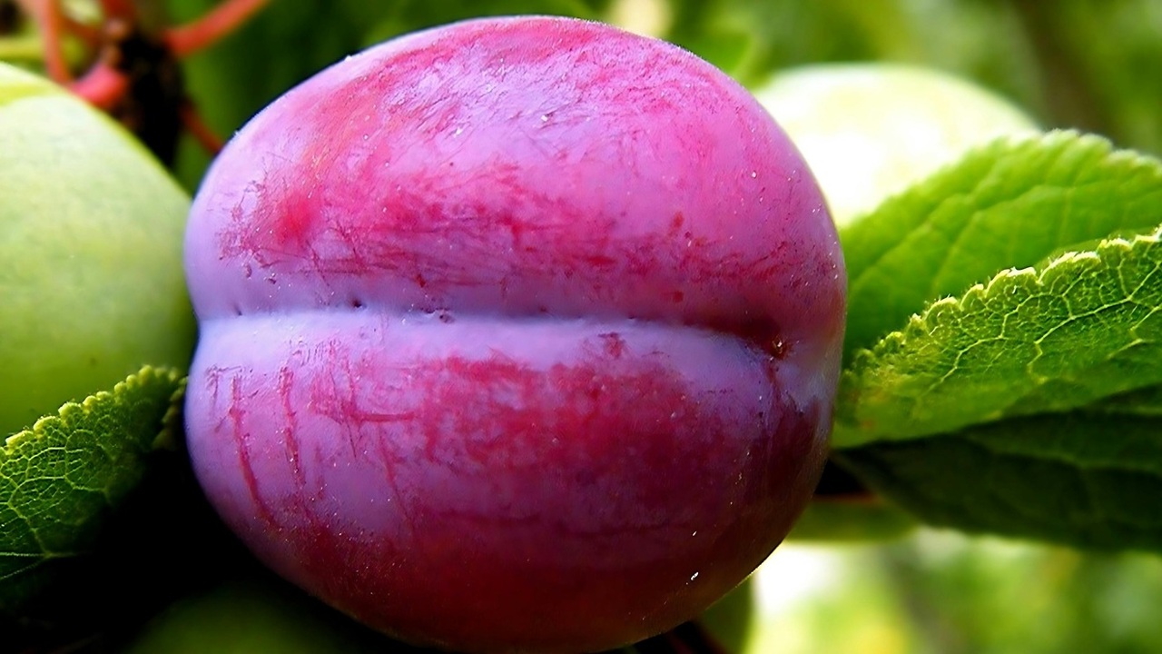 pexels-valera0053-2159144922-35997731