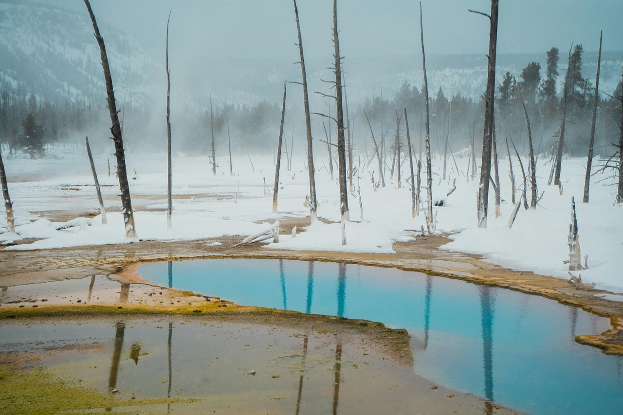 pexels-meghanmarron-11132693