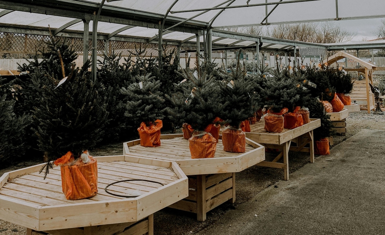 pexels-fotios-photos-6041974 (1)