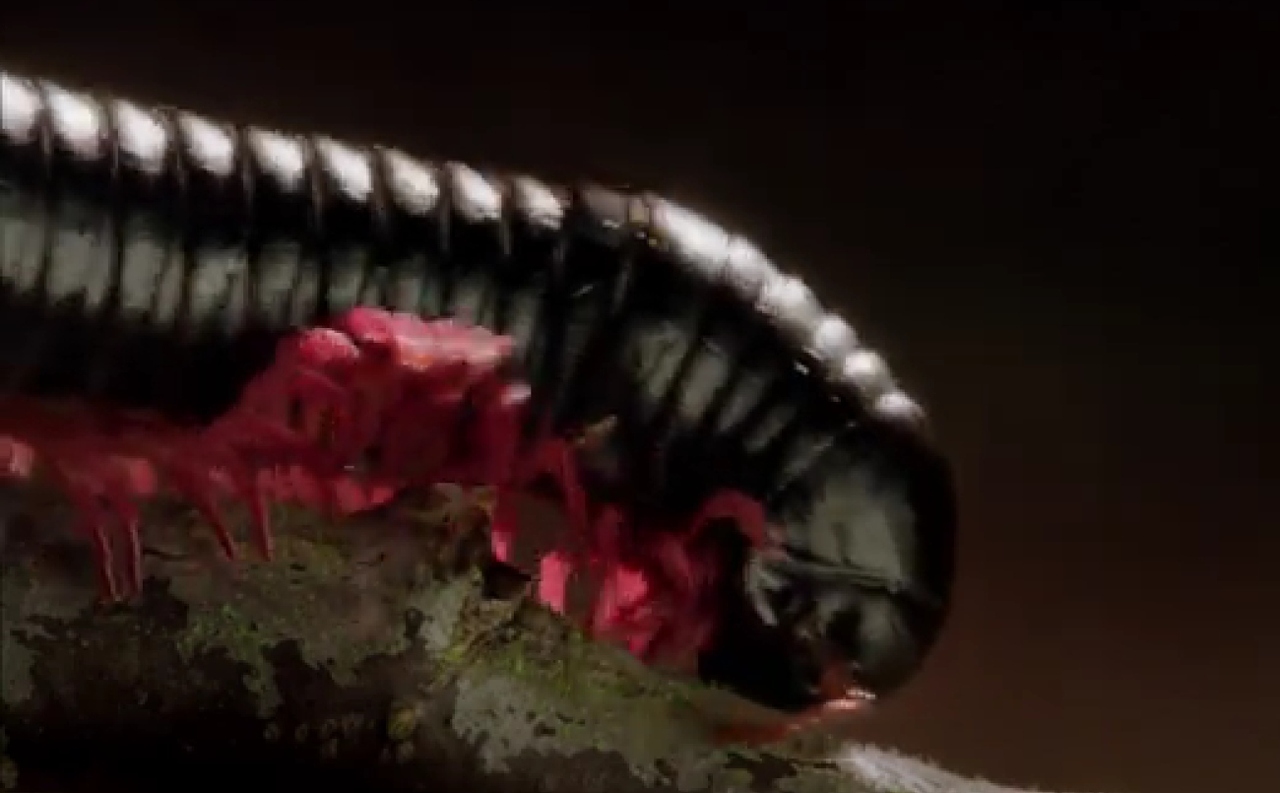 image - 2025-12-01T181351