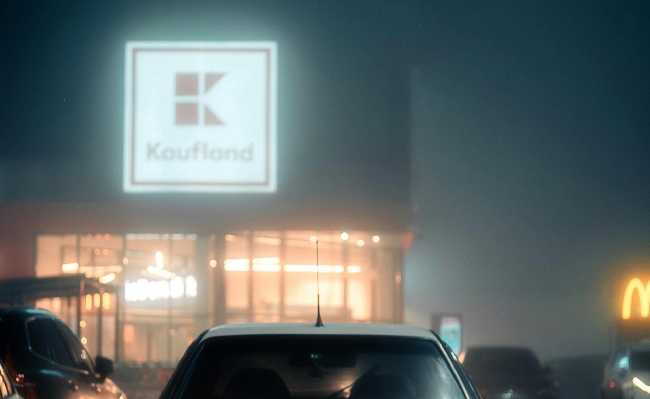 pexels-borta-2790256-30271170 (4) (1)