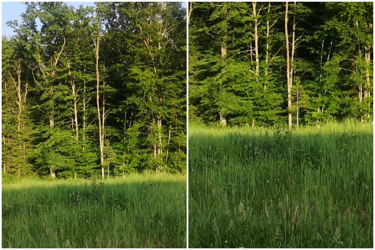 BeFunky-collage (10)