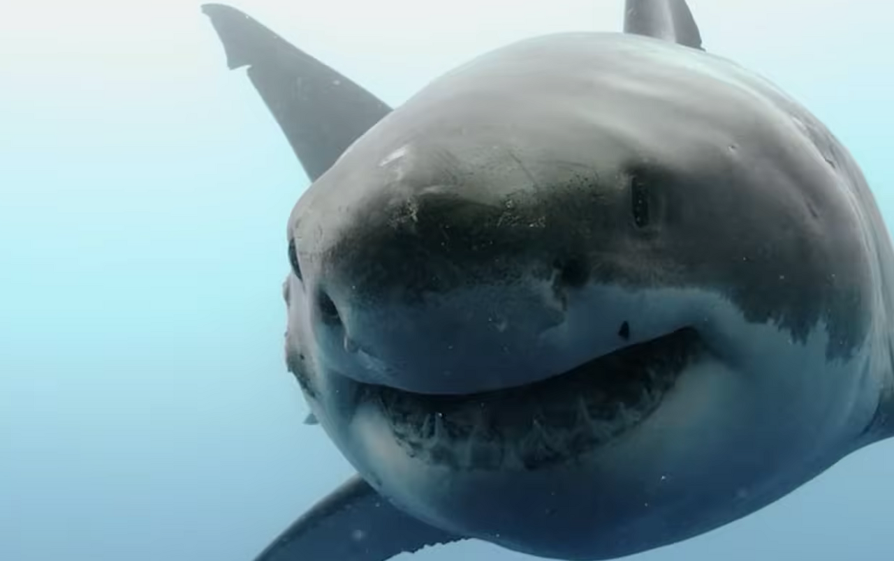 Snimka zaslona 2026-03-27 142416