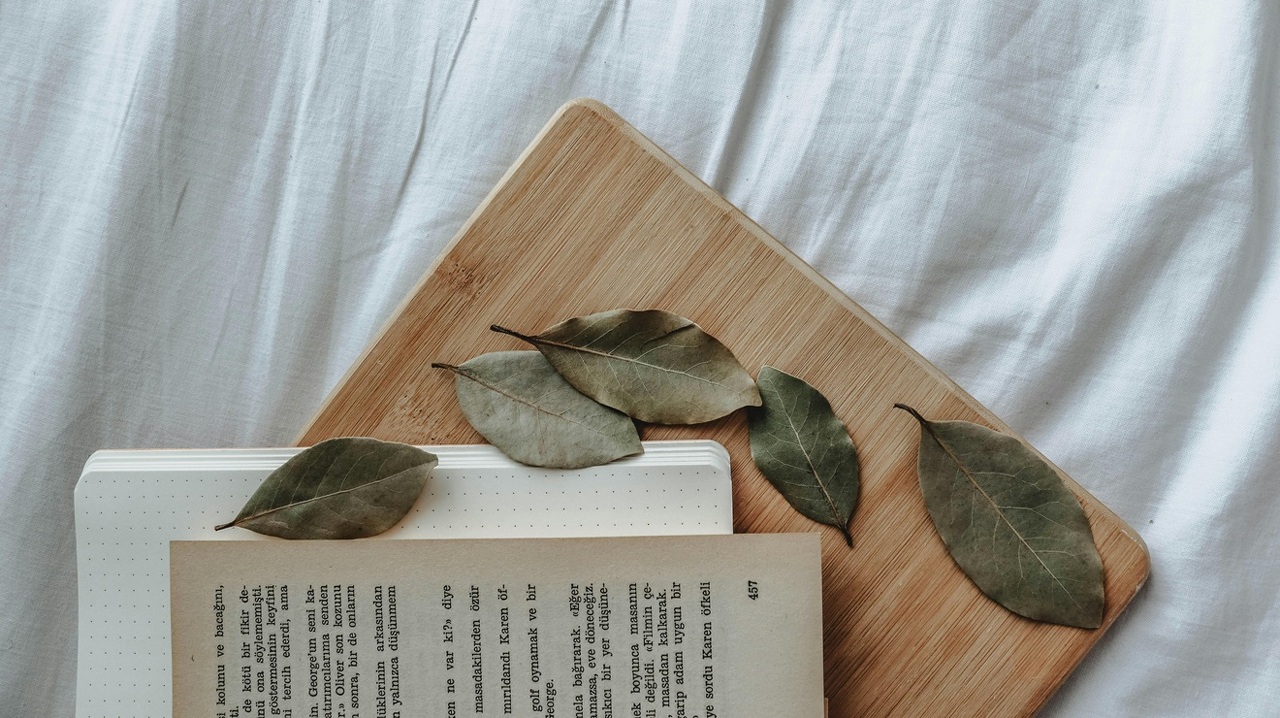 pexels-buse-doga-ay-2650217-5722805