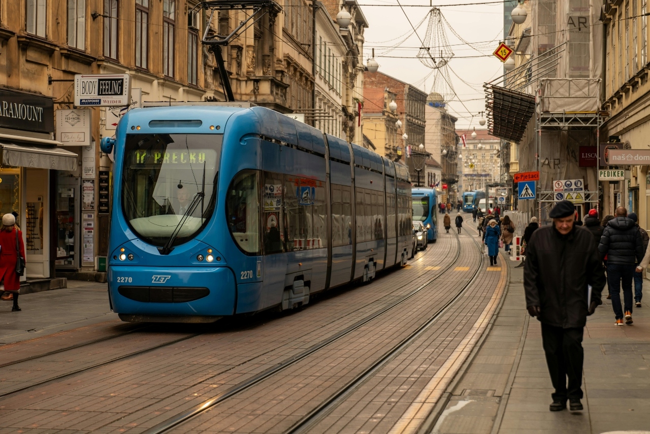 pexels-vladimirsrajber-29789550 (1)