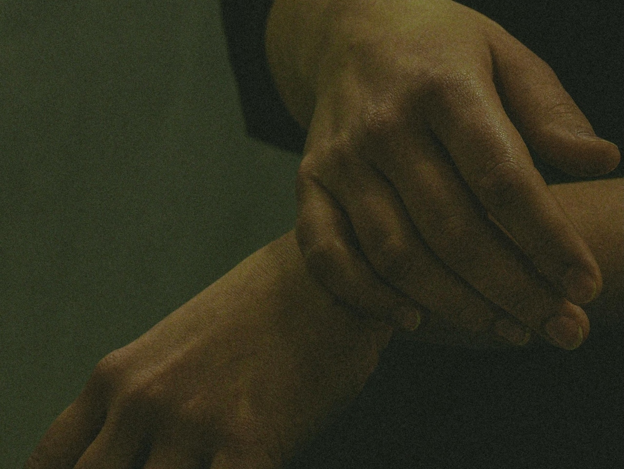 pexels-anastasia-latunova-66354443-10244522 (1)