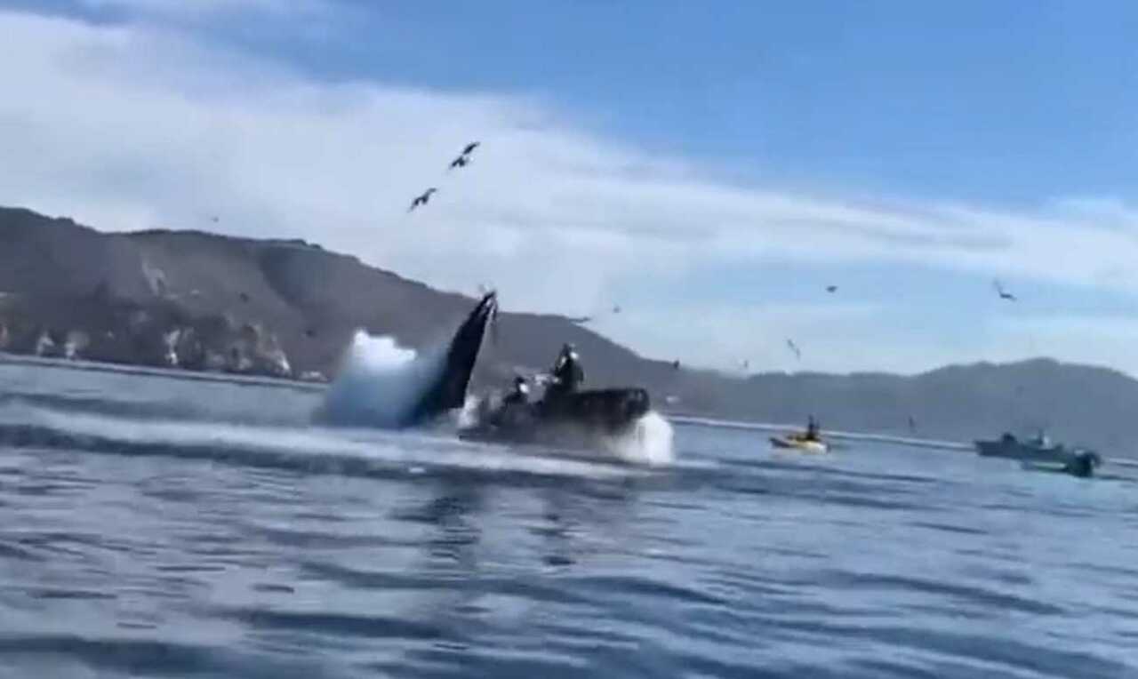 Snimka zaslona 2023-06-04 163415