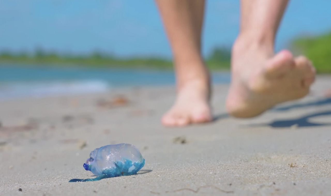 Snimka zaslona 2026-02-14 111508