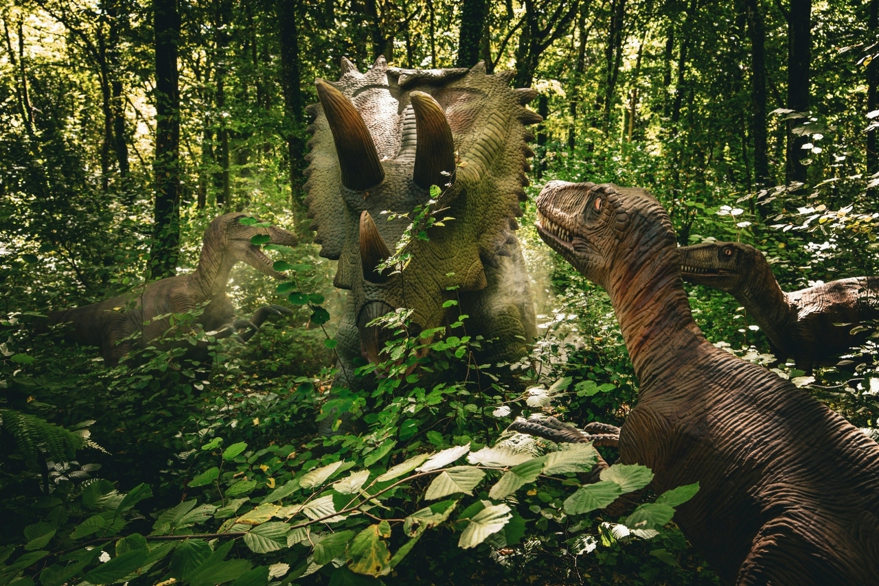 pexels-antonio-mistretta-462550853-33722866 (1)