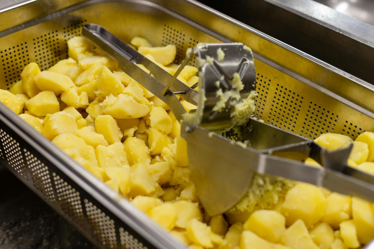 pexels-mateusz-feliksik-1896604-13422423 (1)