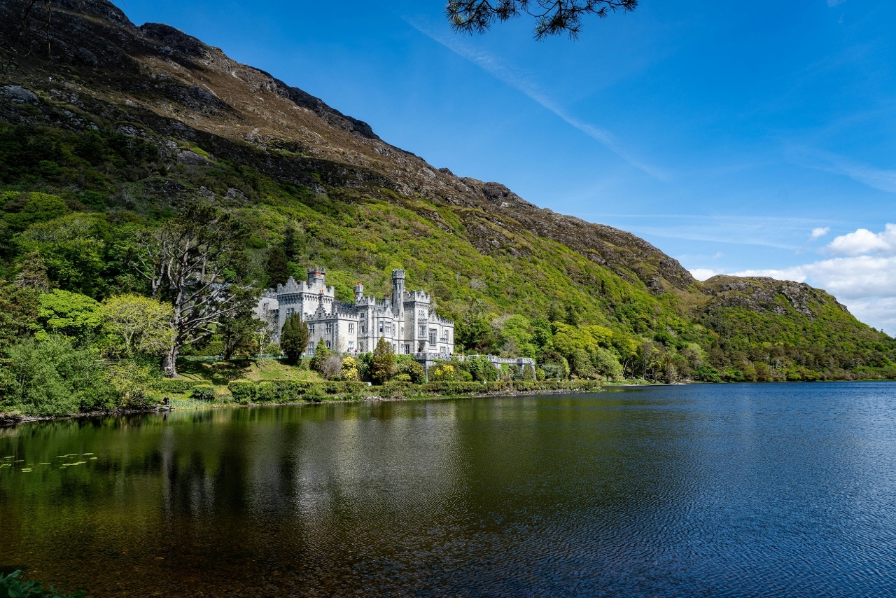 pexels-donovan-kelly-110228397-36709102 (1)