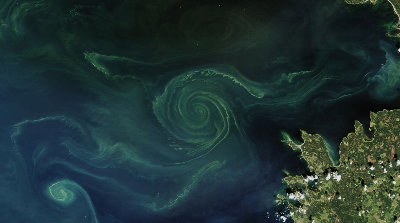 Snimka zaslona 2024-05-27 214857-min