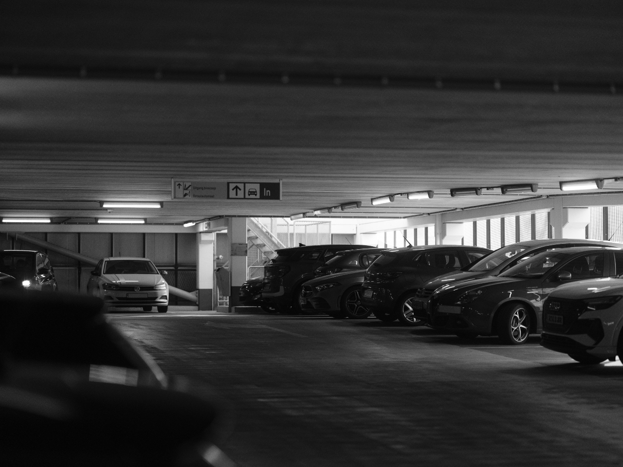 pexels-haberdoedas-33863745 (1)