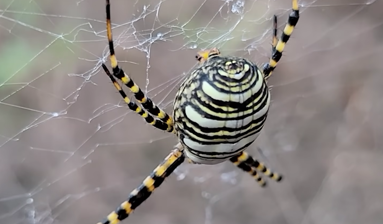 Snimka zaslona 2026-03-20 143208