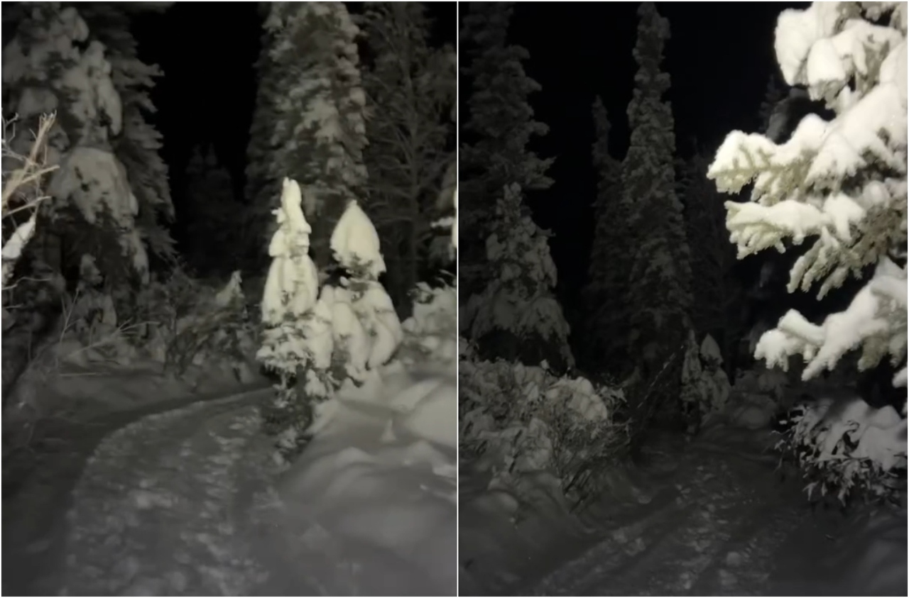 BeFunky-collage (25)