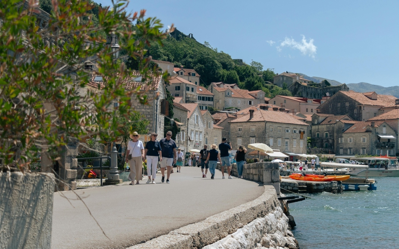 pexels-sabinakallari-26872236 (1)