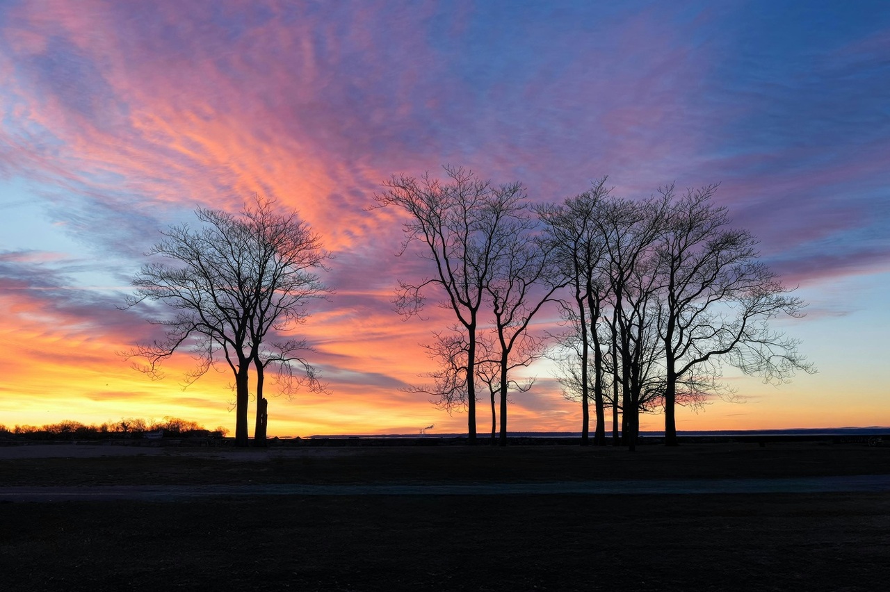 pexels-cara-denison-886614634-35386664