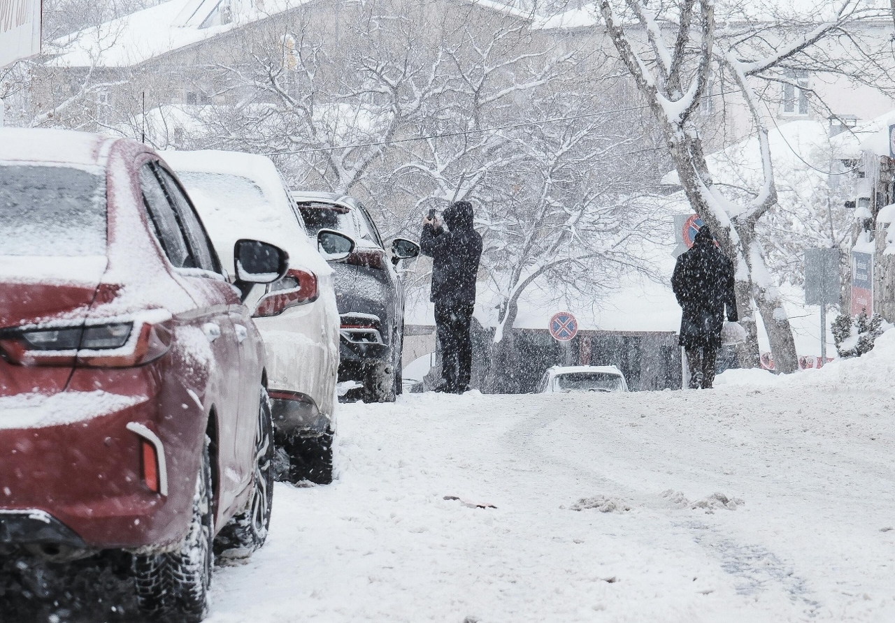 pexels-ebahir-35553226 (1)