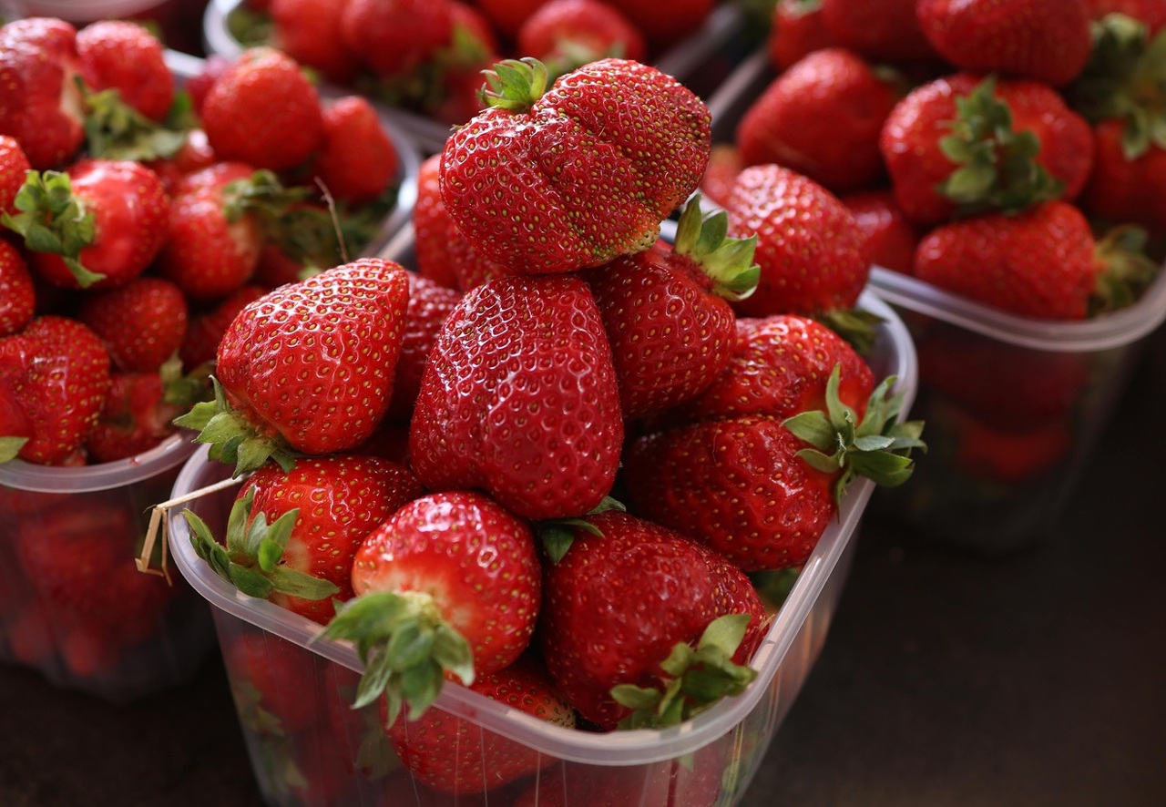 pexels-valeriya-32558902