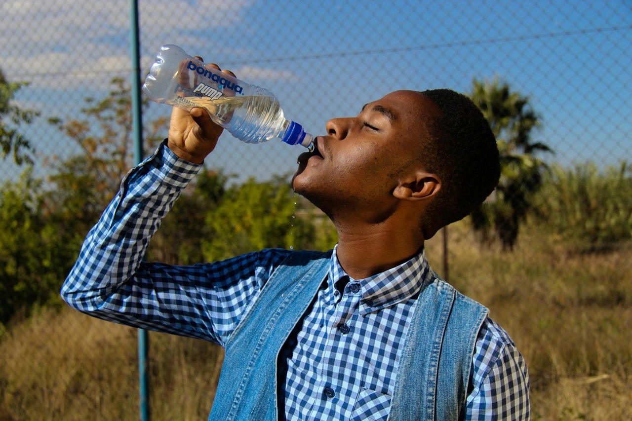 pexels-thomas-chauke-437438-1126557