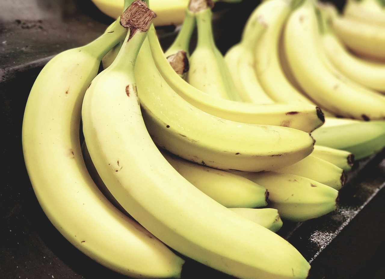 pexels-akio-1093038 (3) (1)