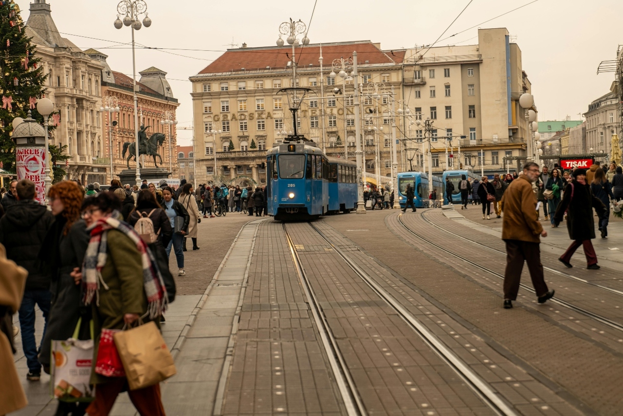 pexels-vladimirsrajber-29789558 (6) (1)