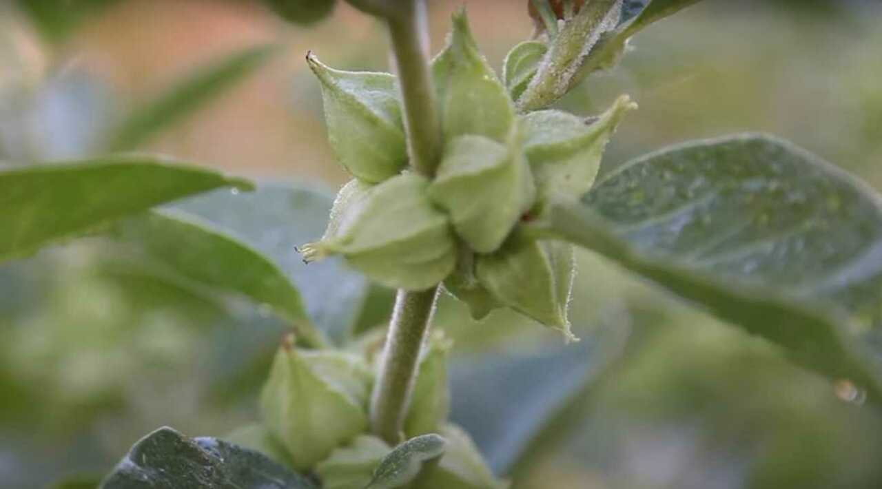 Snimka zaslona 2023-09-16 161104
