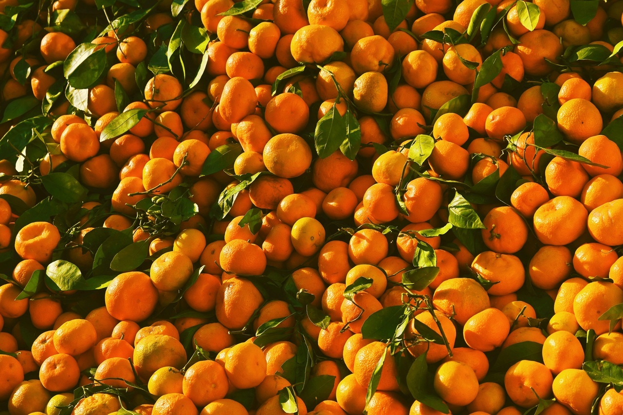 pexels-ilayda0700-35555241