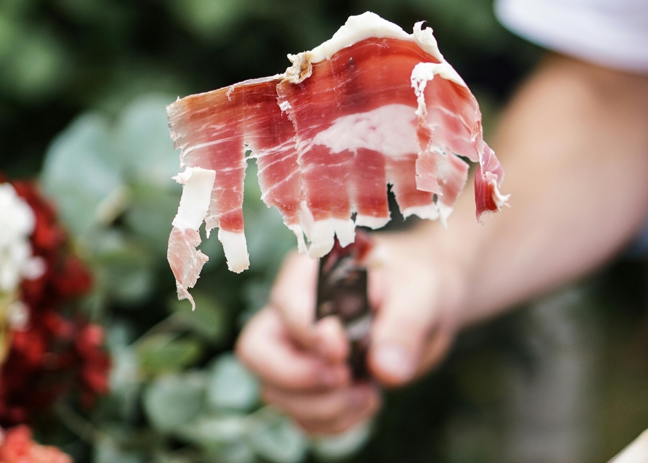 pexels-anna-guerrero-788383-3276236 (2) (1)