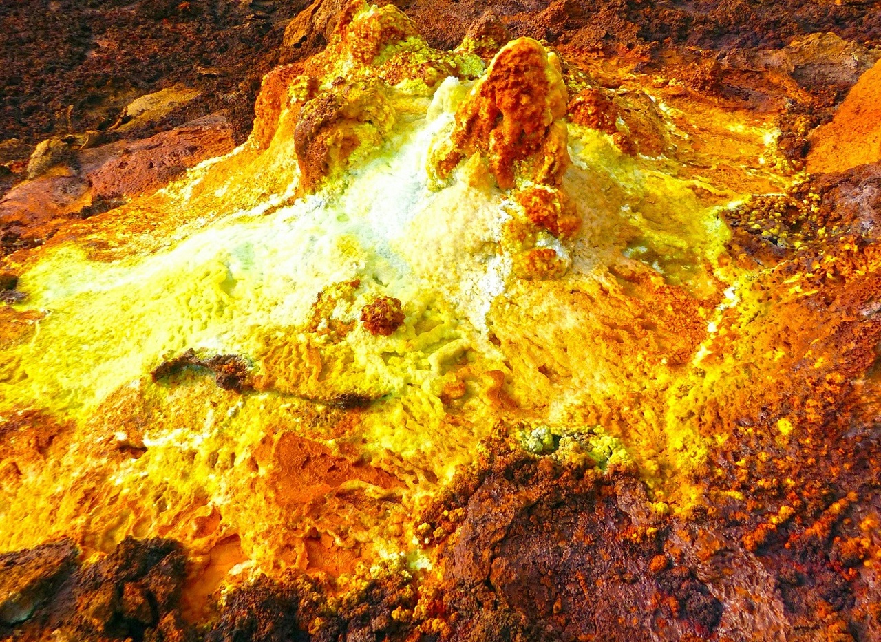 pexels-atypeek-12258551