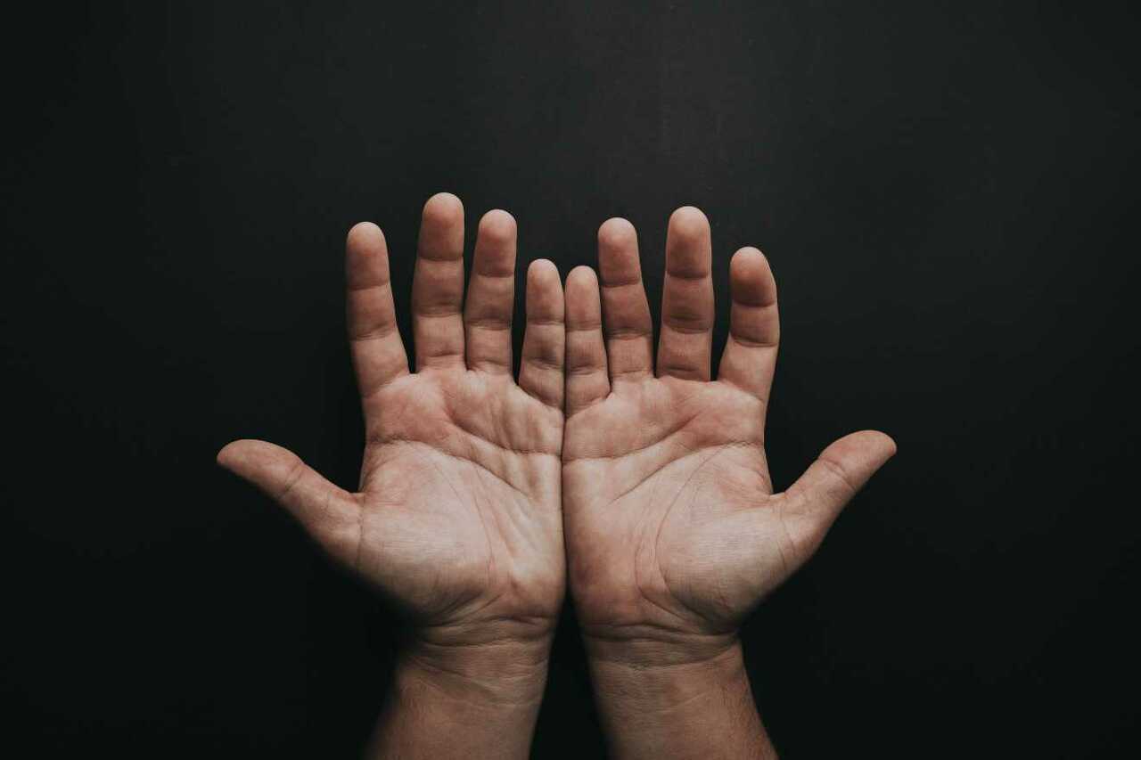 pexels-luis-quintero-2258248 (1)