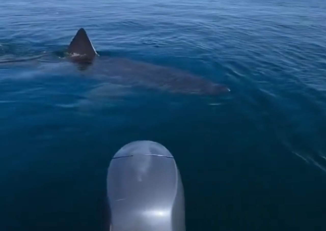 image - 2026-03-24T145850