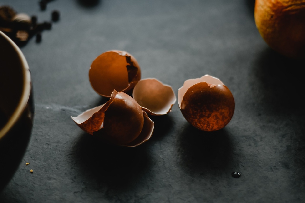 pexels-eva-bronzini-5740771