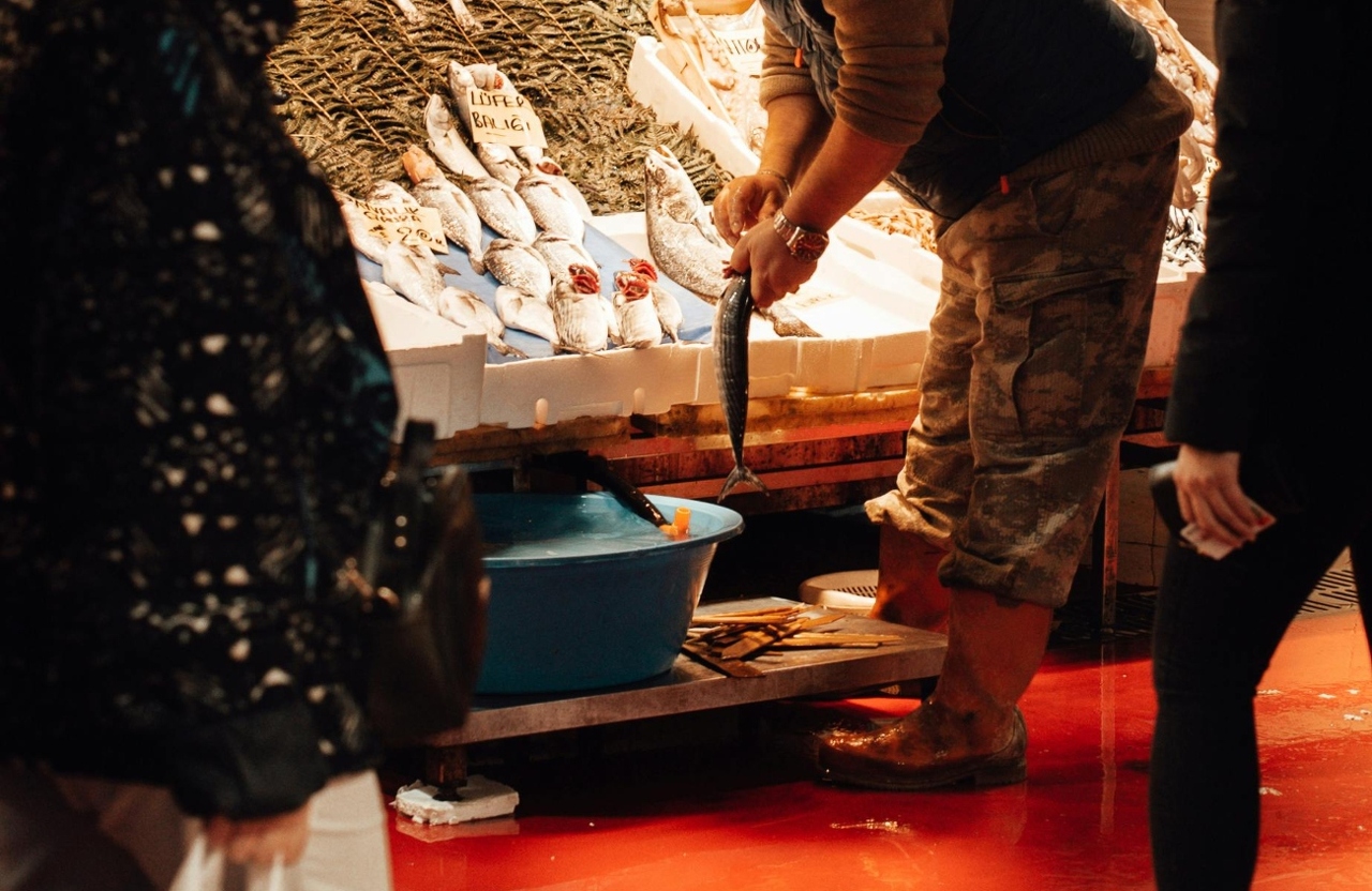 pexels-furkanfdemir-6475733 (1)