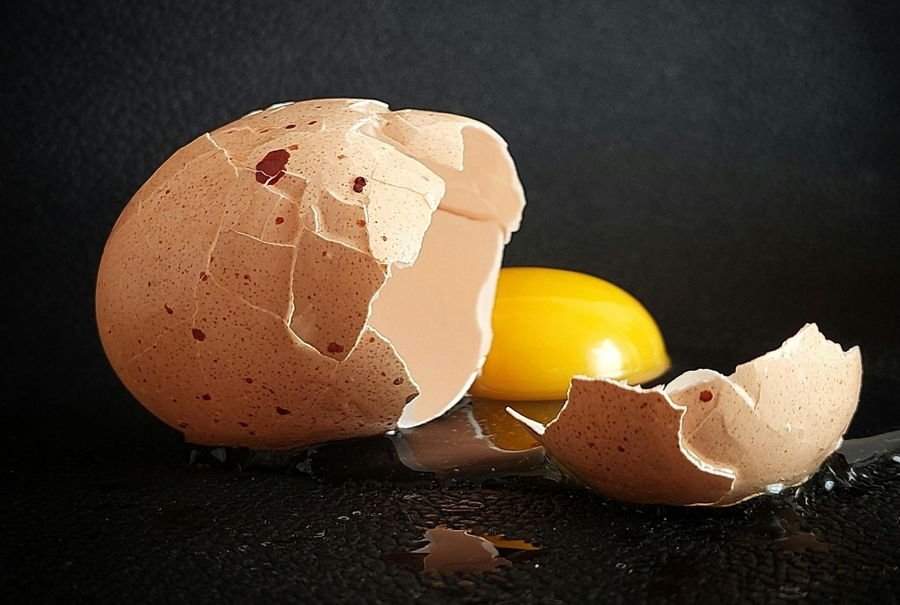 pexels-anett-22800016