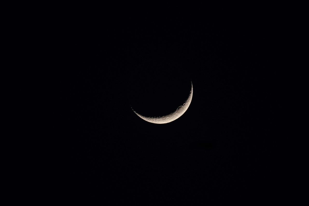 pexels-francesco-ungaro-12324073