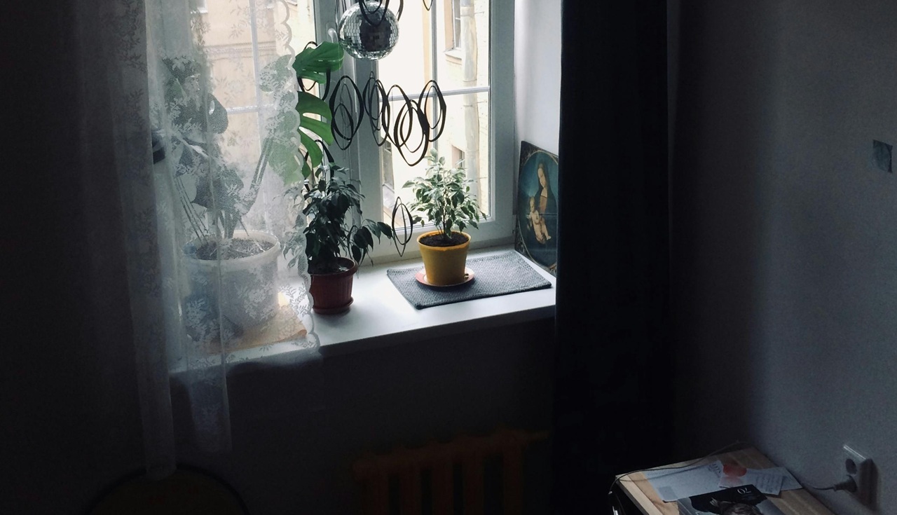 pexels-inga-sv-2929360