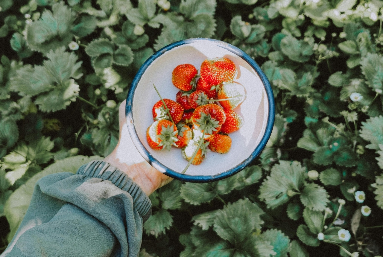 pexels-zeynature-31379745 (1)