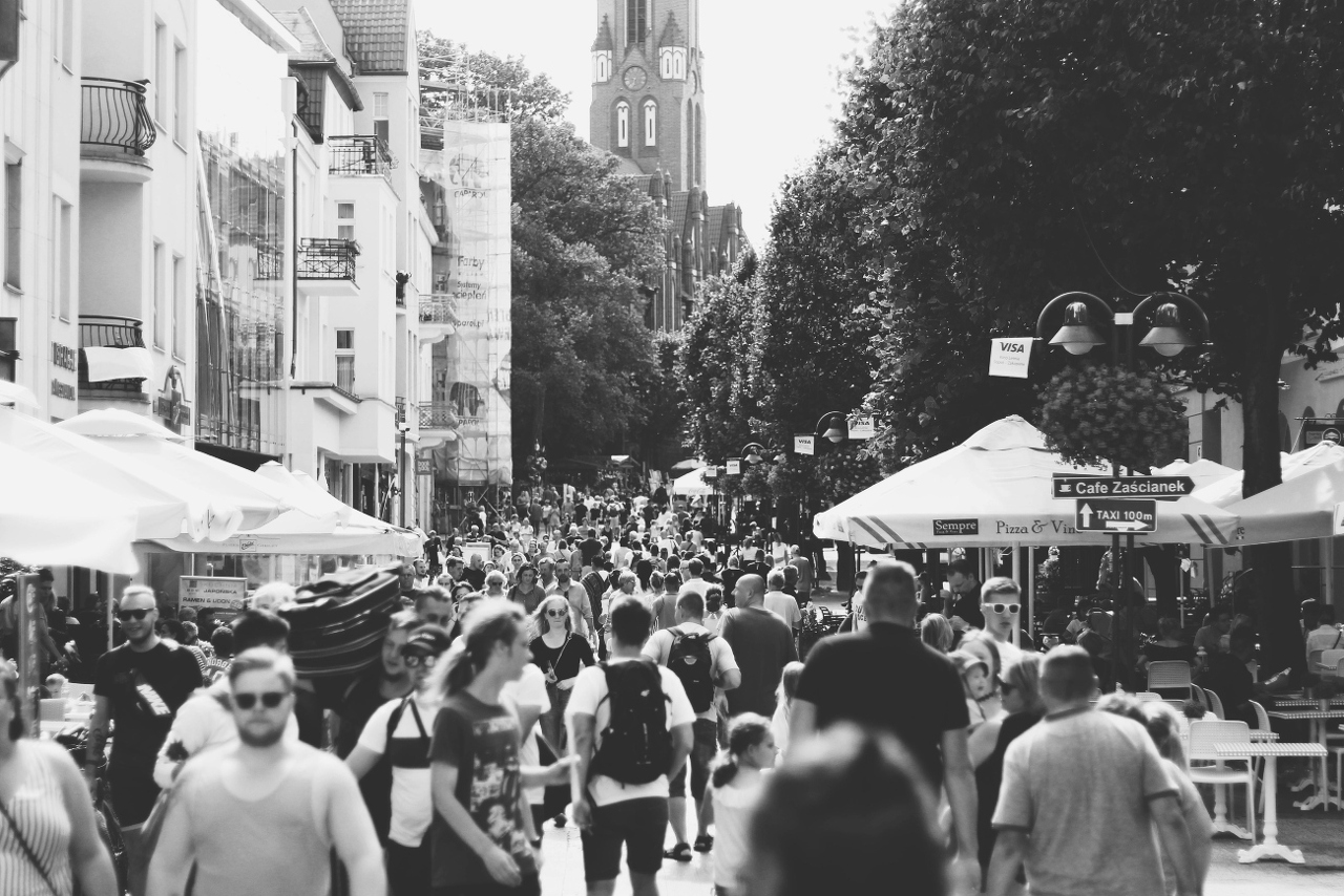 pexels-pawel-l-435199-1245055 (3) (1)