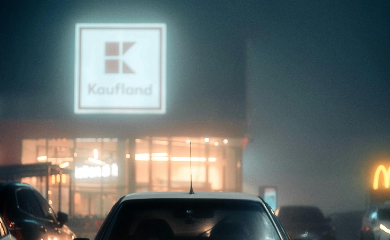 pexels-borta-2790256-30271170 (6) (1)