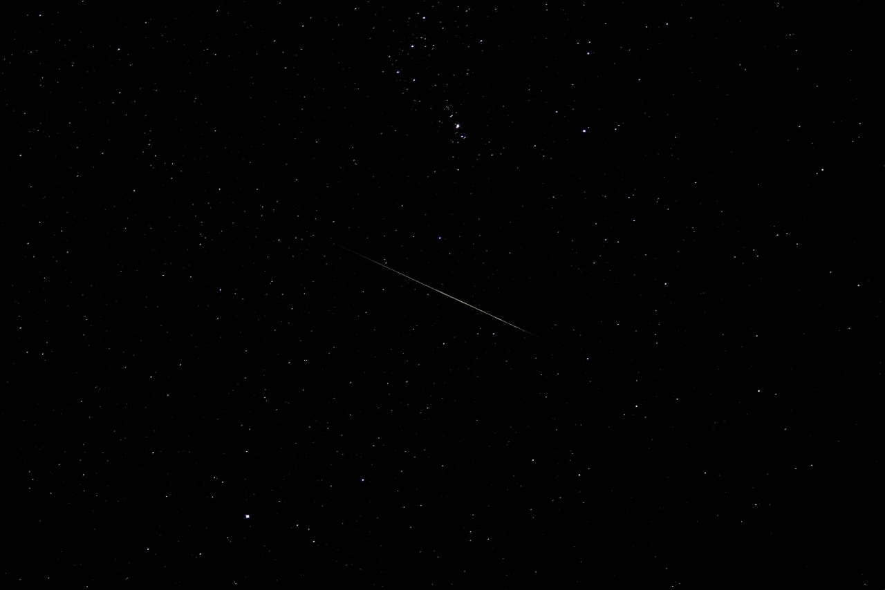 pexels-apasaric-1694000 (1)