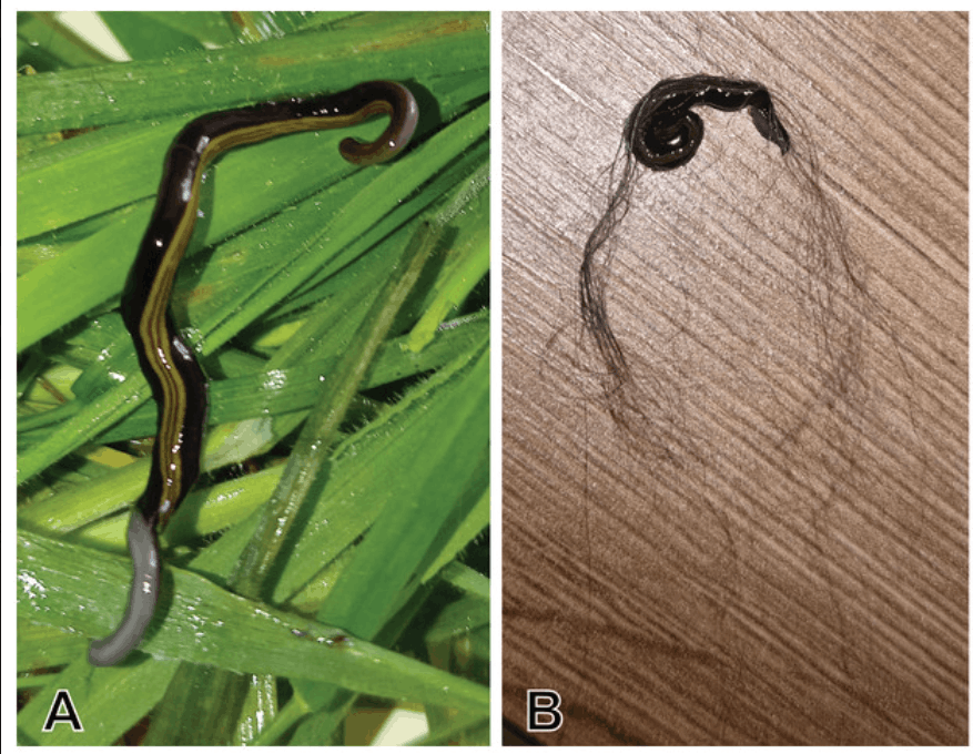 Snimka zaslona 2026-02-11 122420