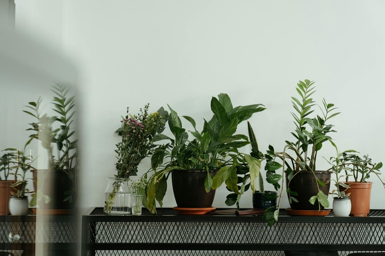 pexels-cottonbro-4123714