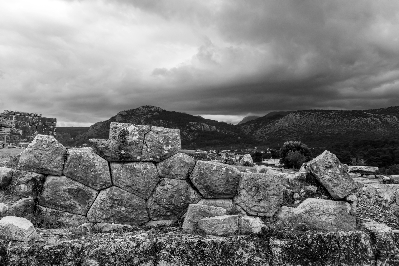 pexels-roman-odintsov-6594974 (1)