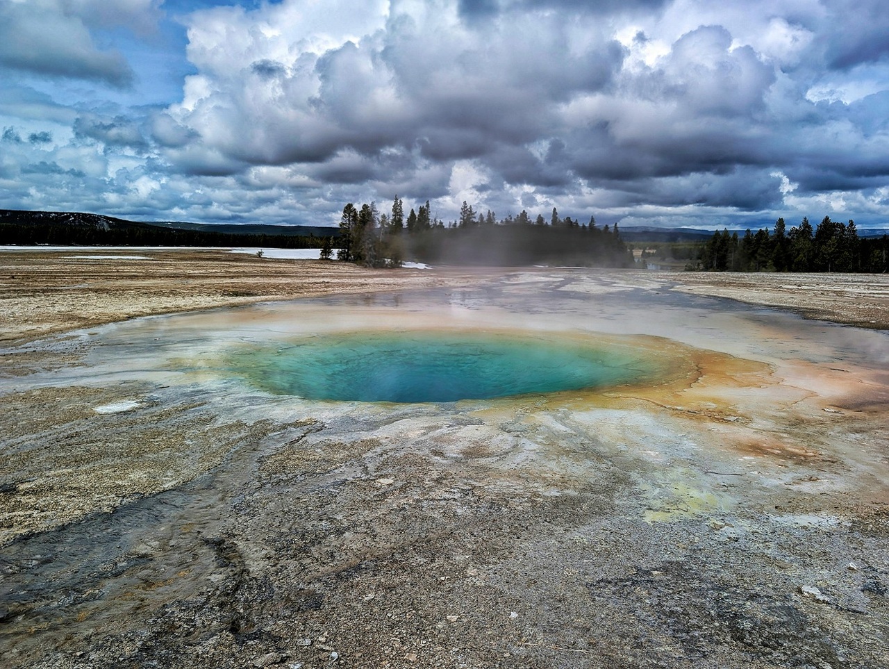 pexels-jarvis-30433649