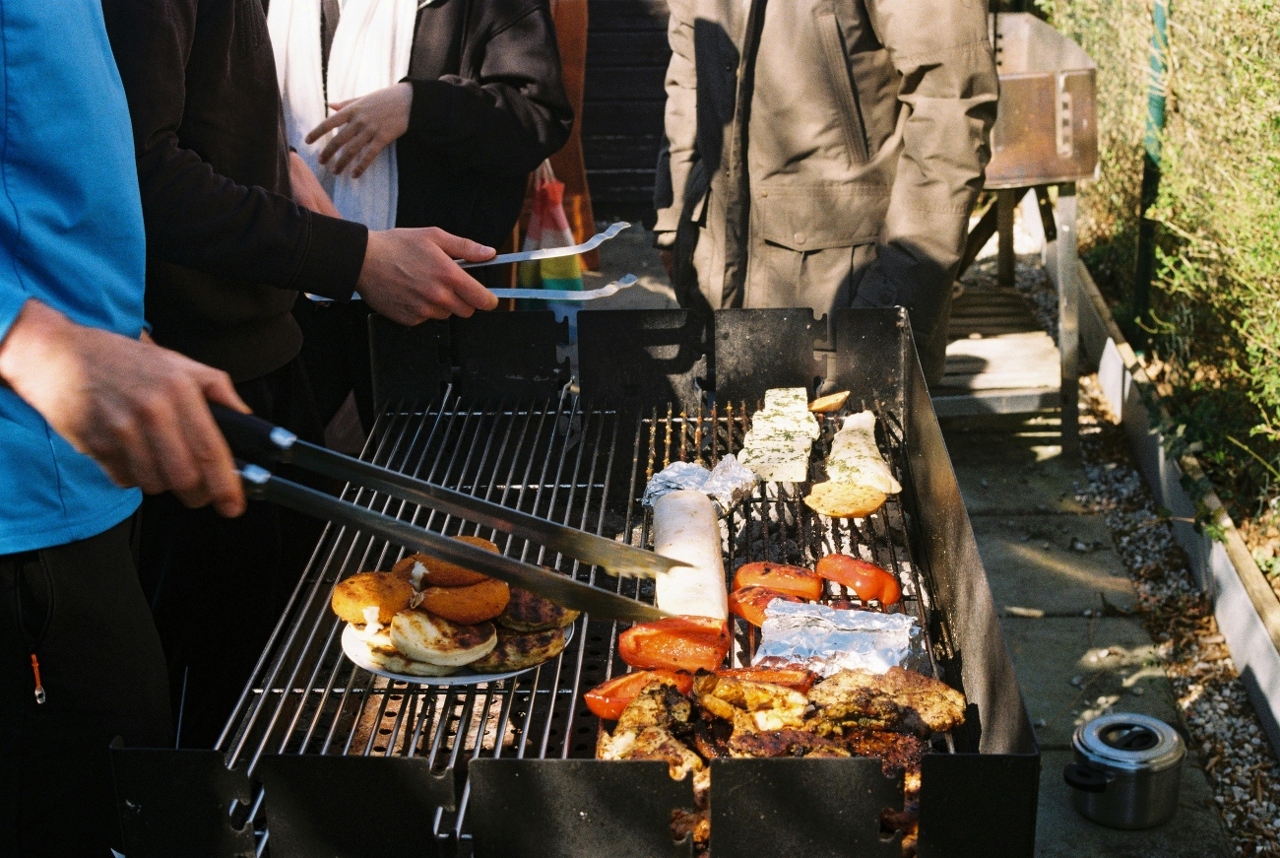 pexels-krnjajab-31913087 (1)