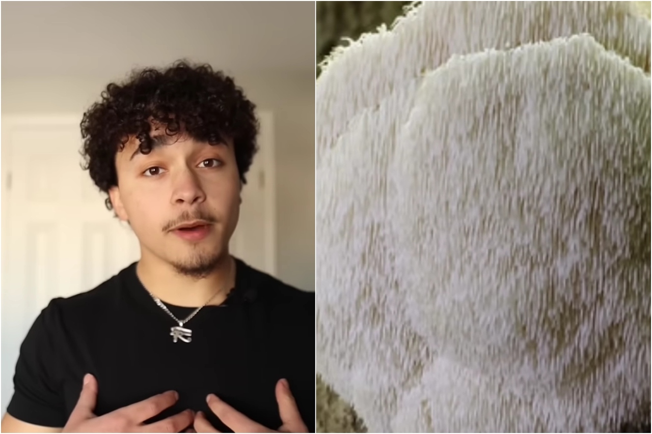 BeFunky-collage - 2025-11-12T203007