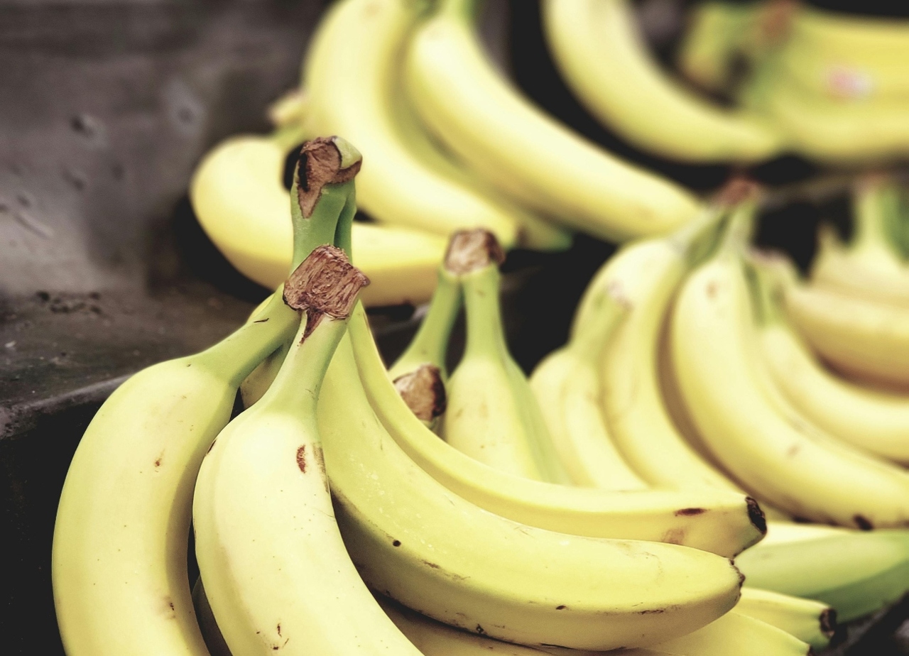 pexels-akio-1093038 (2) (1)