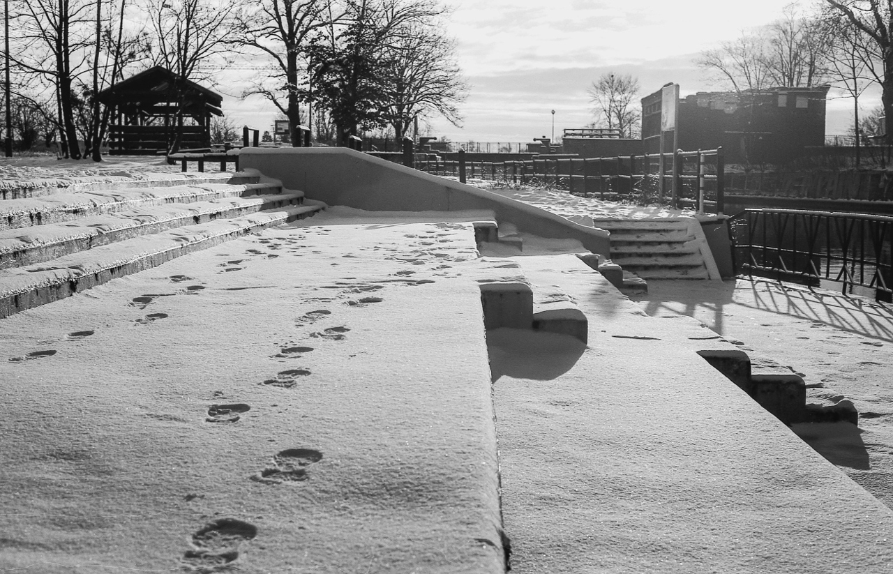 pexels-grzegorz-lewandowski-380083092-26564413 (1)