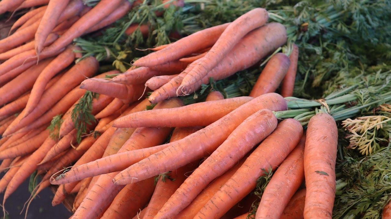 pexels-d-goug-211350543-32667633